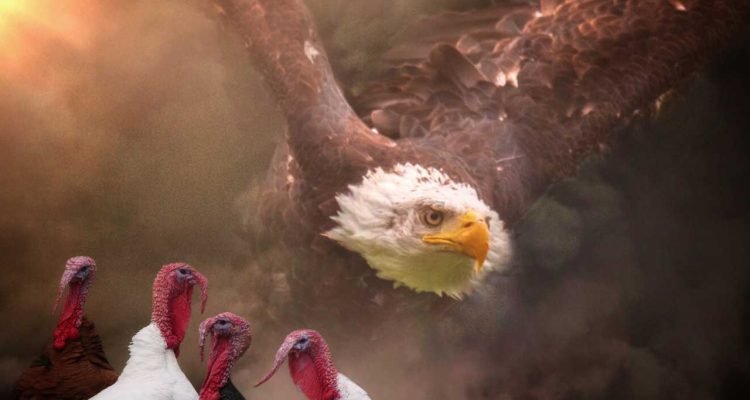 You Can't Soar Like An Eagle When You Surround Yourself With Turkeys