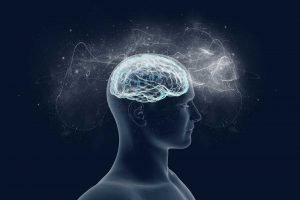 reticular activating system