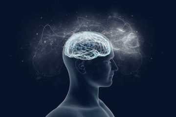 reticular activating system