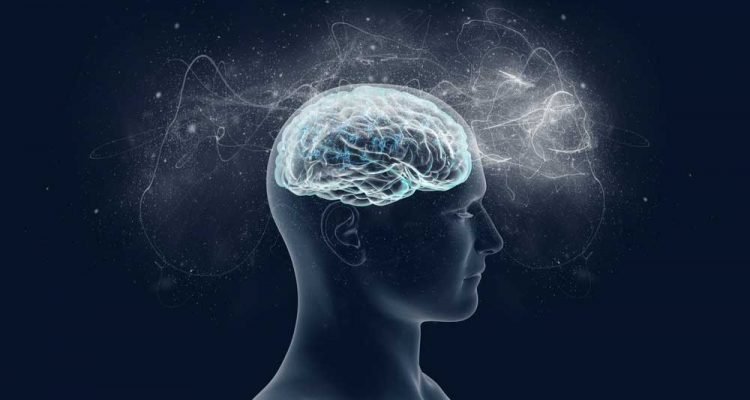 reticular activating system