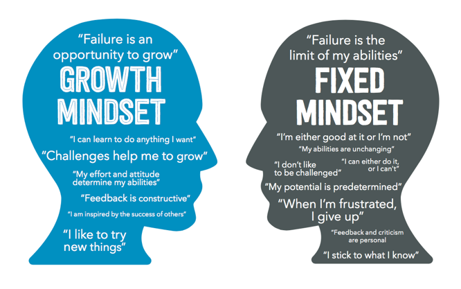 fixed growth mindset
