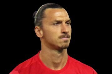 Zlatan Ibrahimovic Quotes