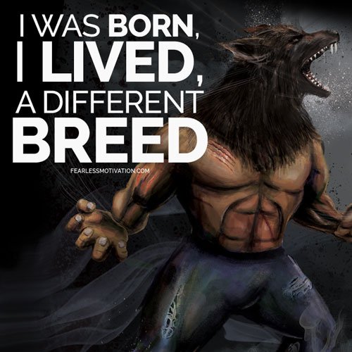different breed