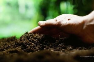 They Tried To Bury Me But They Didn't Know I Was A Seed.