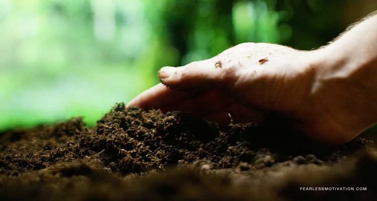 They Tried To Bury Me But They Didn't Know I Was A Seed.