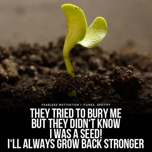They Tried To Bury Me But They Didn't Know I Was A Seed