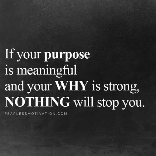 find your life purpose