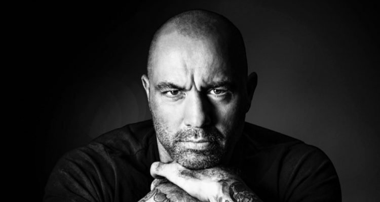 Find Your Passion These Joe Rogan Quotes Will Bring You To Life