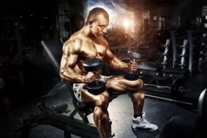 The Ultimate Nutrition Guide for Daily Muscle Growth