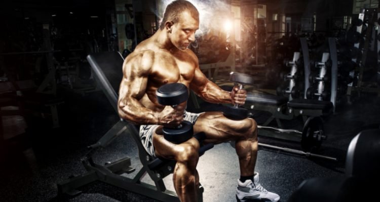 The Ultimate Nutrition Guide for Daily Muscle Growth