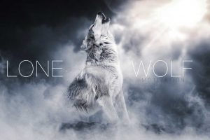 lone wolf the song
