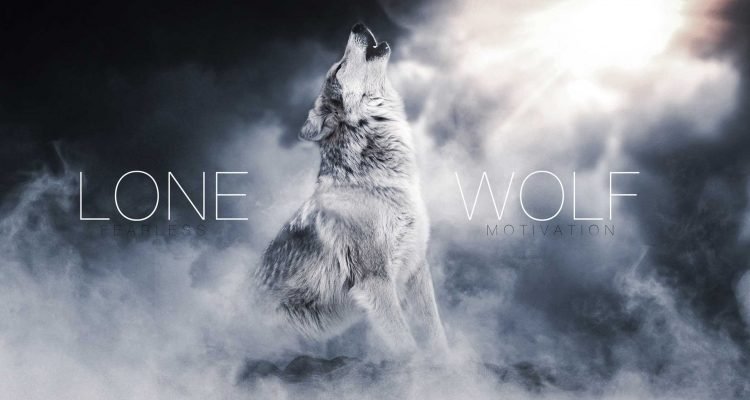 lone wolf the song
