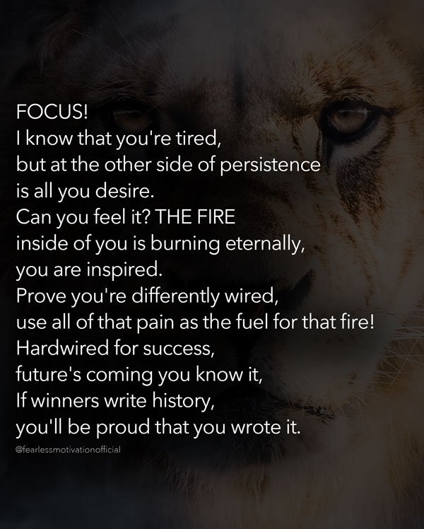 focus song