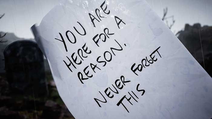 here for a reason song