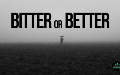 bitter or better song