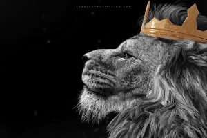 king mentality speech