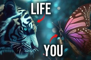 butterfly song