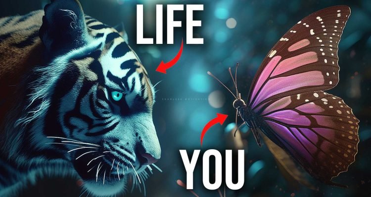 butterfly song