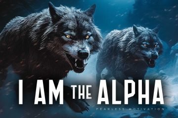 alpha lyrics