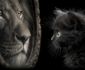 I believe in you, believe in yourself