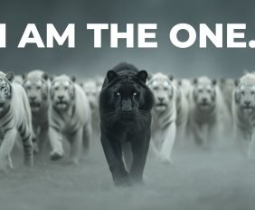 I AM THE ONE.