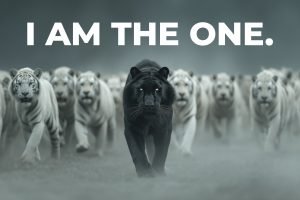I AM THE ONE.
